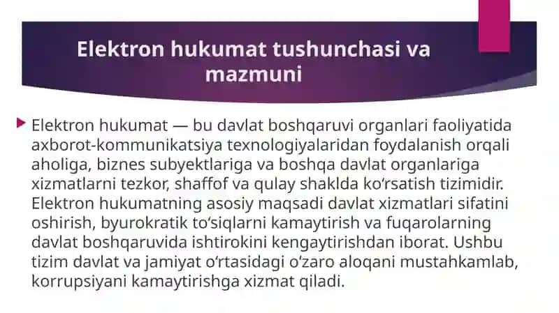 Elektron hukumatni joriy etishning jahon tajribasi 2