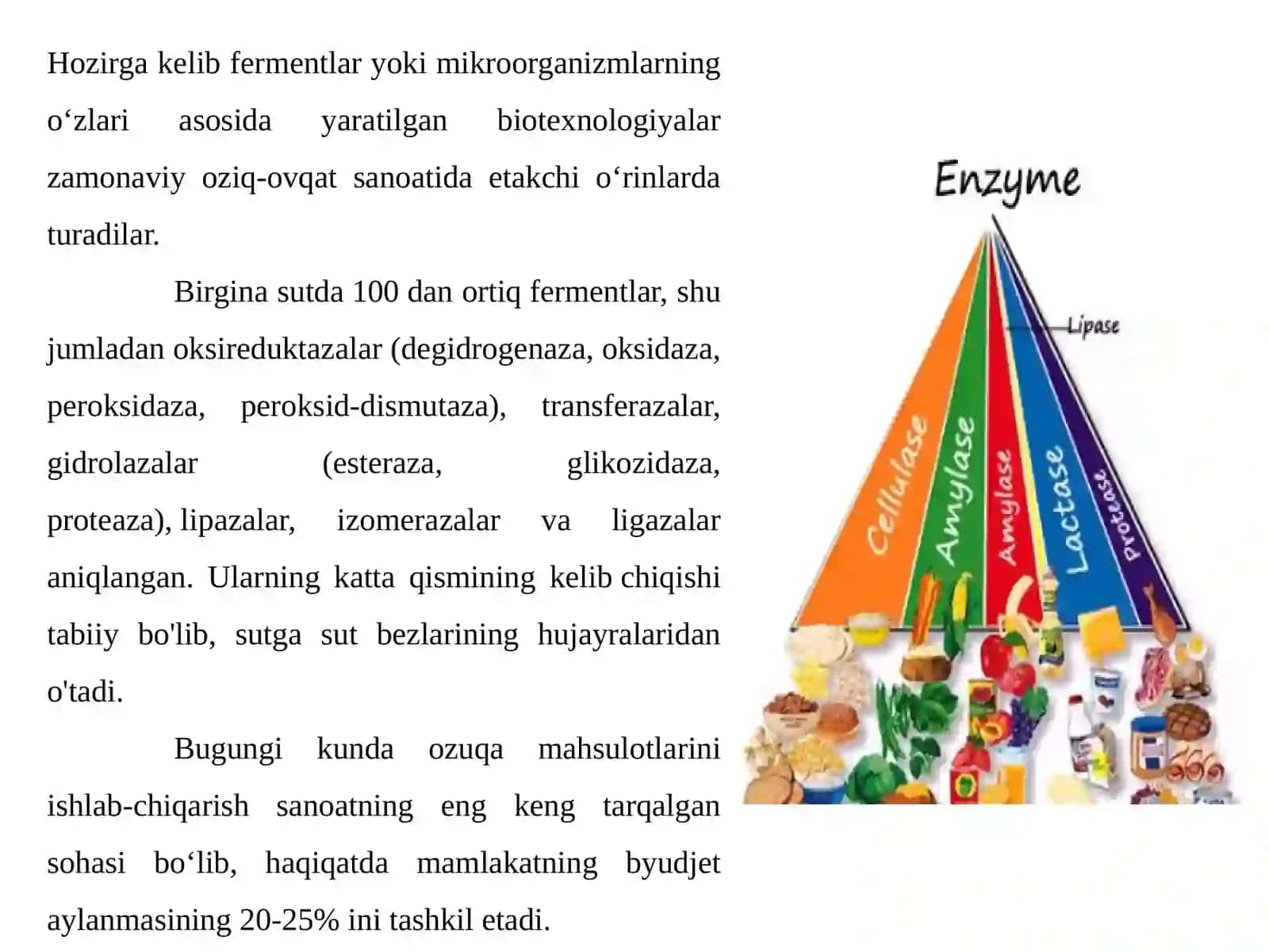 Fermentlardan xalq xo’jaligi va sanoat mahsulotlari olishda foydalanish 2