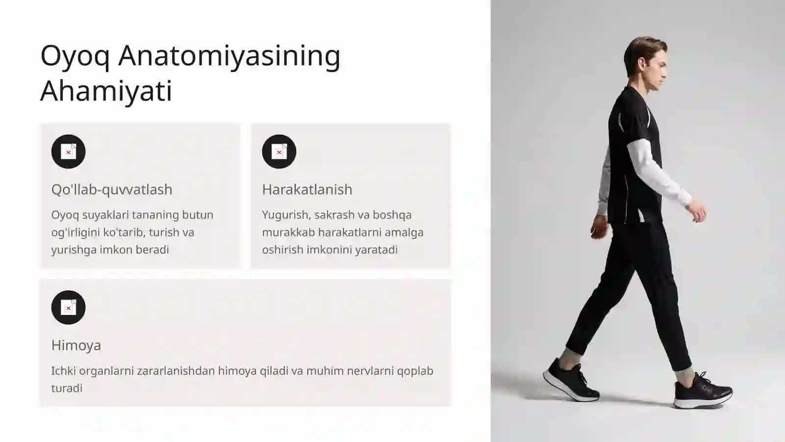 Osteologiya: Oyoqning Erkin Suyaklari Anatomiyasi 2