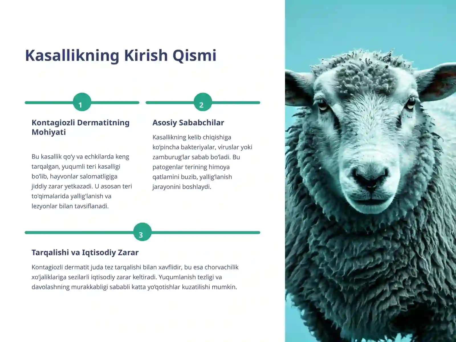 Qo‘y va Echkilarning Kontagiozli Dermatiti: Patomorfologik Tahlil 2