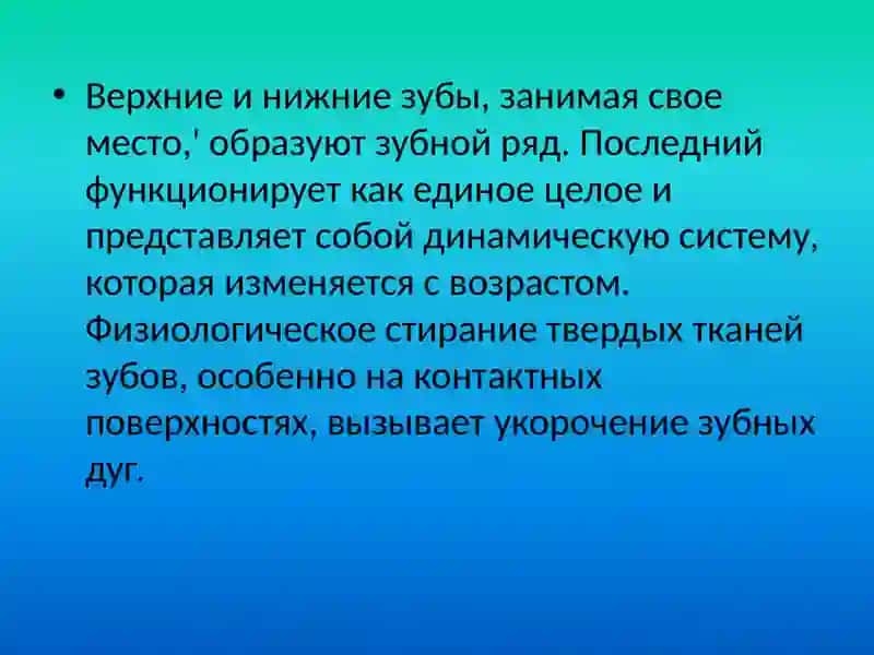Строение зубных дуг 2