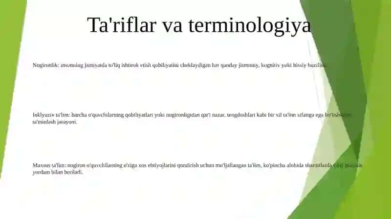 Chet Elda Alohida Yordamga Muhtoj Bolalarning Inklyuziv Ta’Limi 2