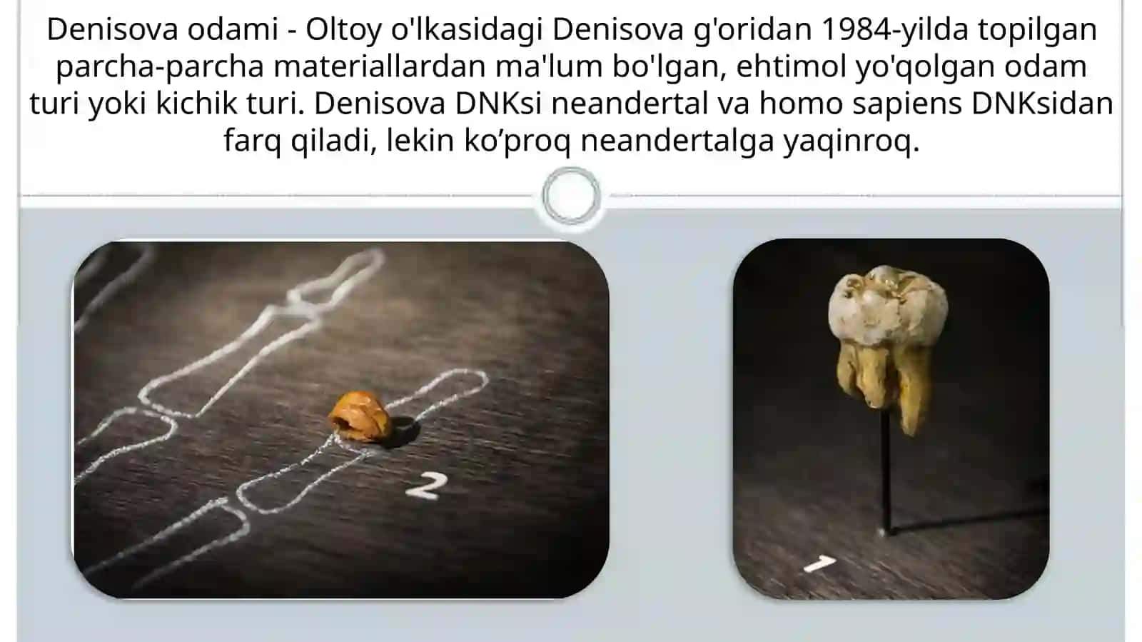Denisova odamlari 2