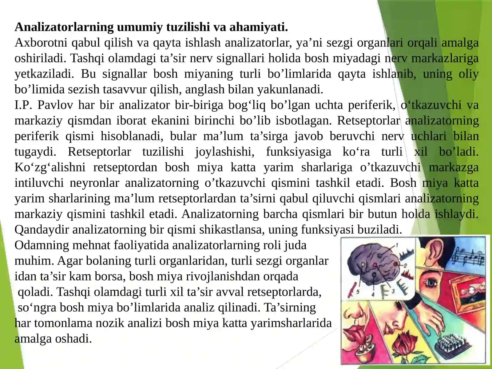 MA’RUZA.Analizatorlarfiziologiyasining yosh xususiyatlari vagigienasi 2
