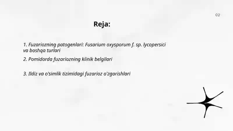 Pomidorning fuzarioz kasalliklari 2