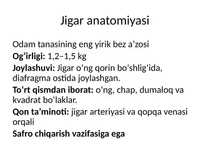Jigar 2