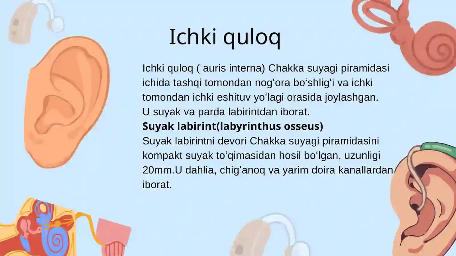 Ichki quloq 2