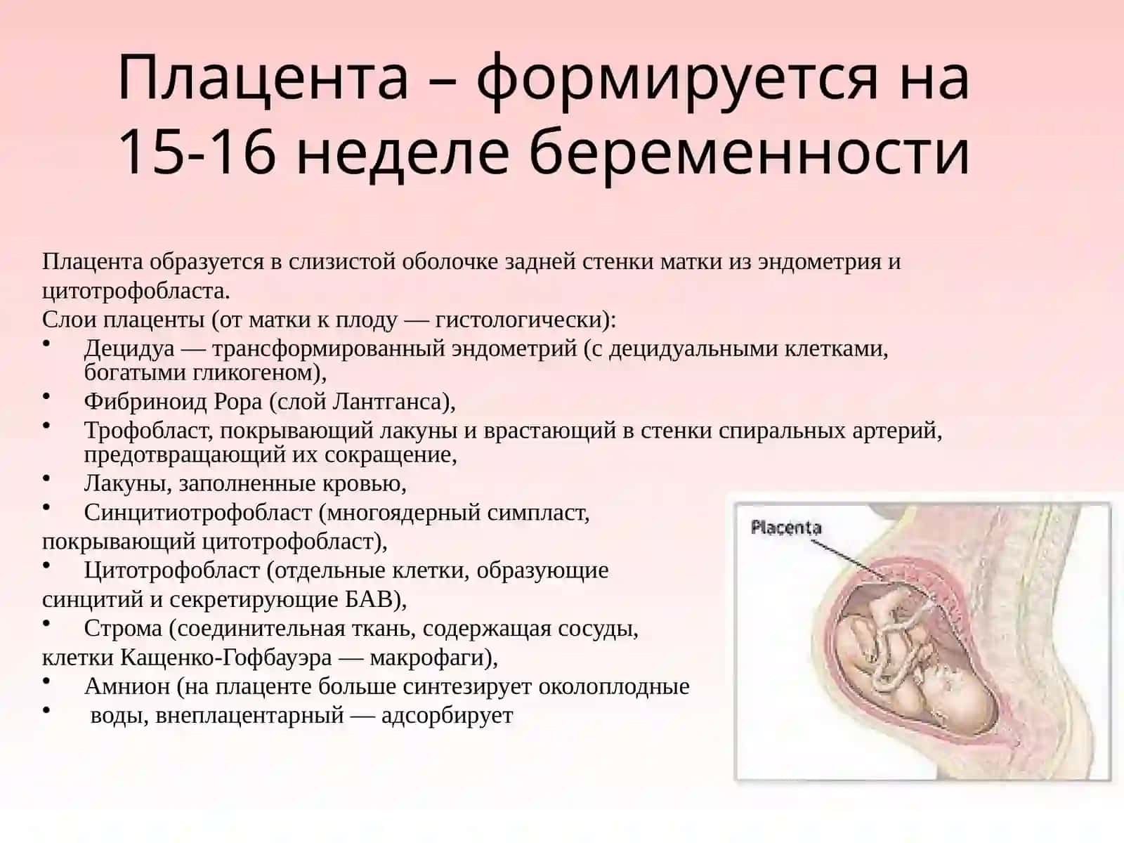 Плацентарные нарушения.Плацентарная недостаточность 2