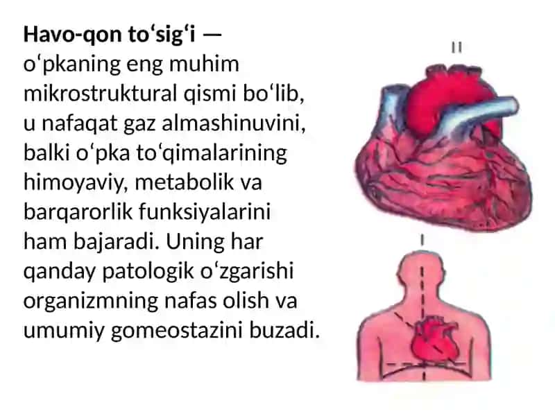 Havo qon tosig’i 2