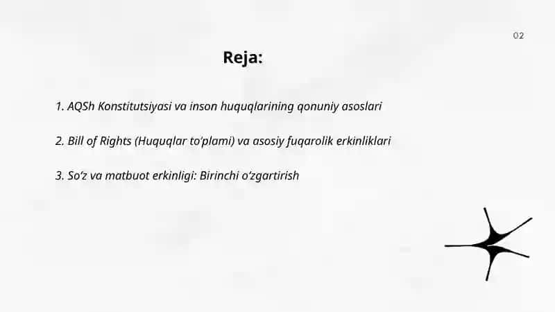 AQSh Konstitutsiyasi va Inson Huquqlarining Qonuniy Asoslari 2