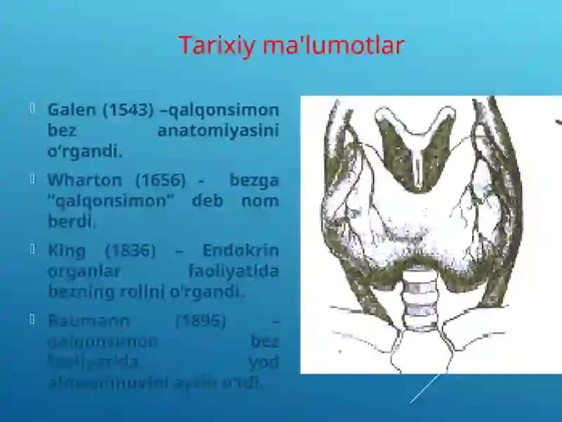 QALQONSIMONBEZ KASALLIKLARI 2