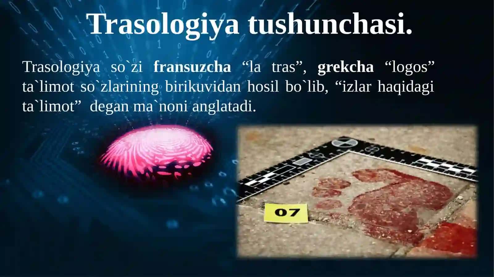 Kriminalistiktrasologiya 2