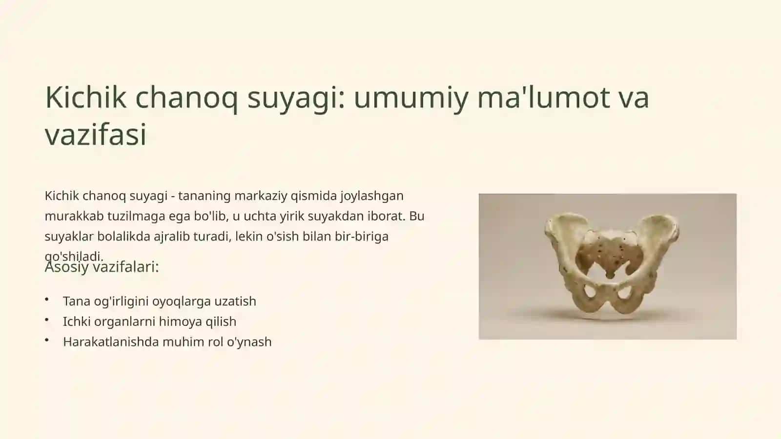 Osteologiya: Oyoqning kamar suyaklari anatomiyasi 2