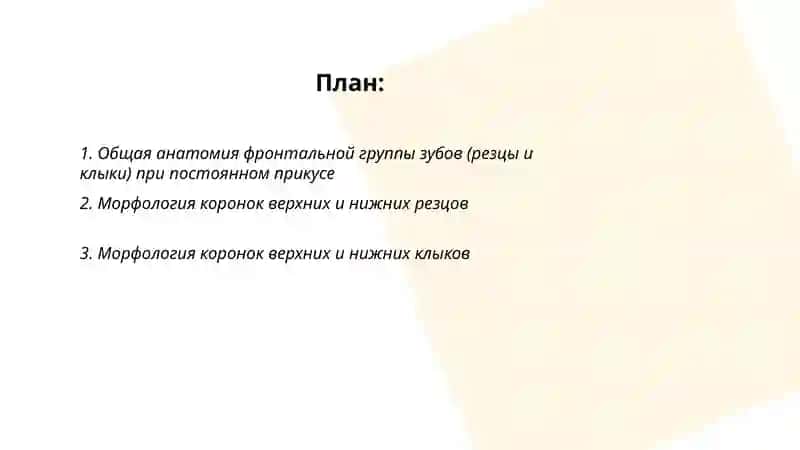 Морфология коронок верхних и нижних резцов 2
