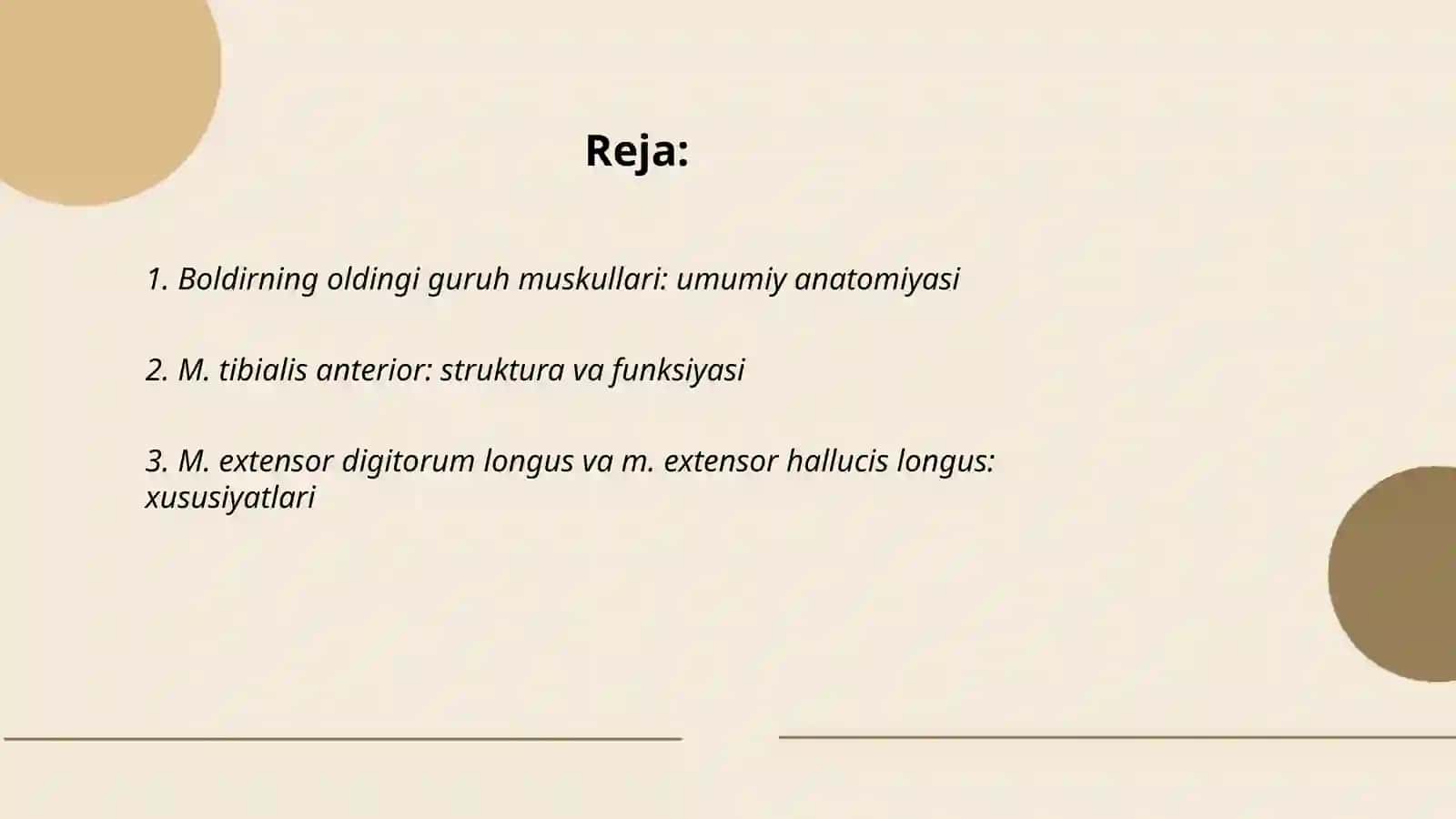 Boldirning oldingi va orqa guruh muskullari 2