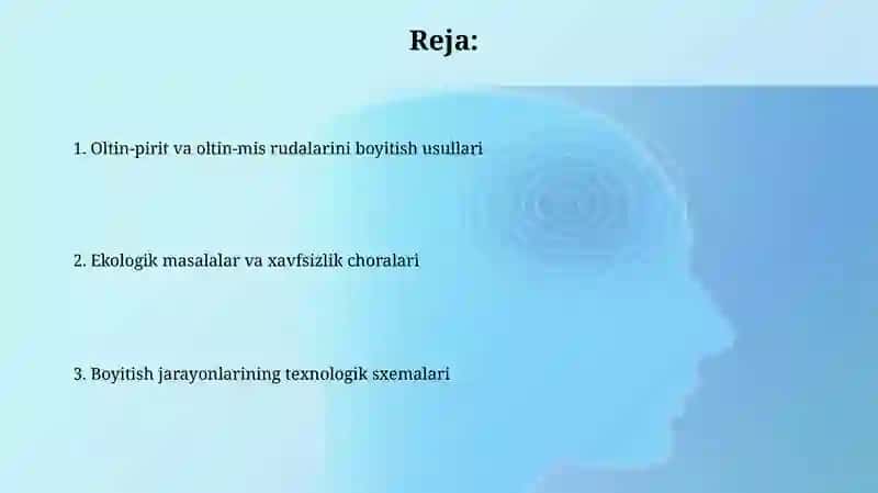 Oltin-margimushli va Oltin-misli rudalarni boyitish 2