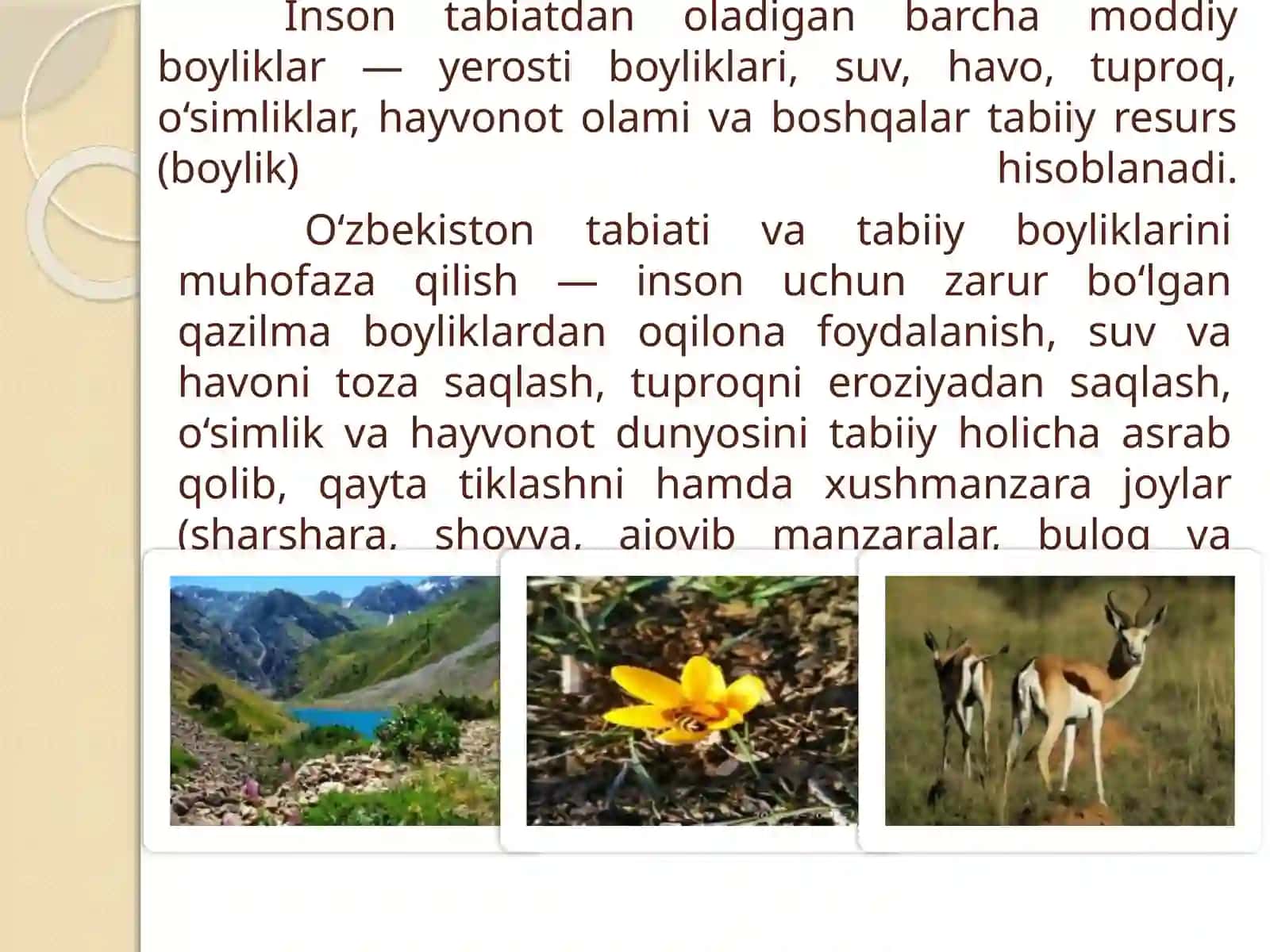 O‘ZBEKISTONNING TABIIY BOYLIKLARI VA ULARNI MUHOFAZA QILISH 2