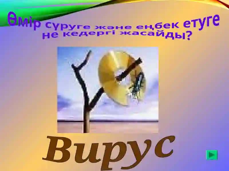 Компьютерлік вирус 2