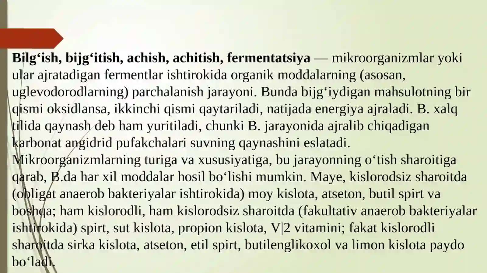 Bijg‘ish va uning xillari. Sut-kislotali spirtli bijg‘ish 2
