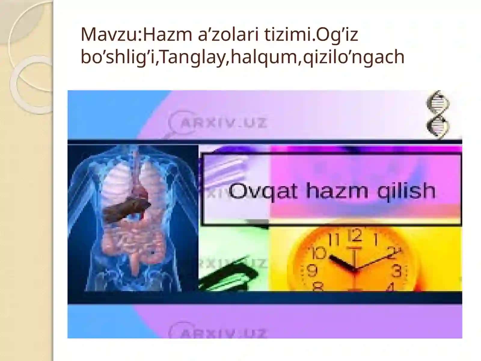 Og'iz bo'shlig'i va ovqat hazm qilish tizimi 2