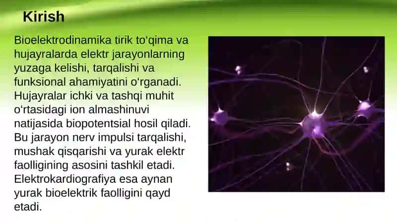 Bioelektrodinamika va elektrokardiografiya asoslari. Hujayra membranasida biopotentsiallarning hosil boʻlishi 2