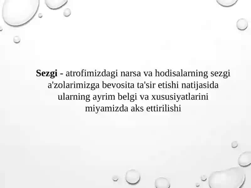 Sezgi 2