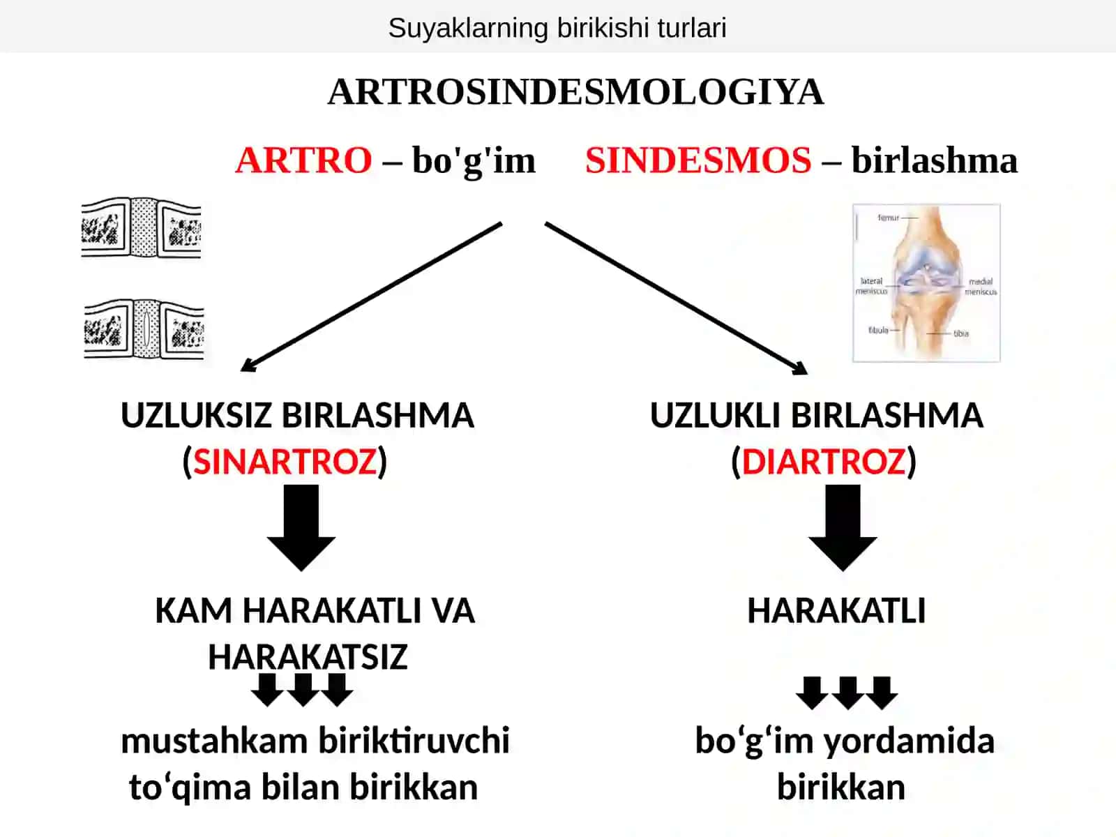 SUYAKLARBIRIKISHI 2