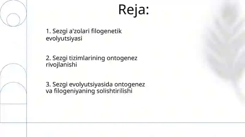 Asab tizimi va sezgi organlari onto-filogenezi 2