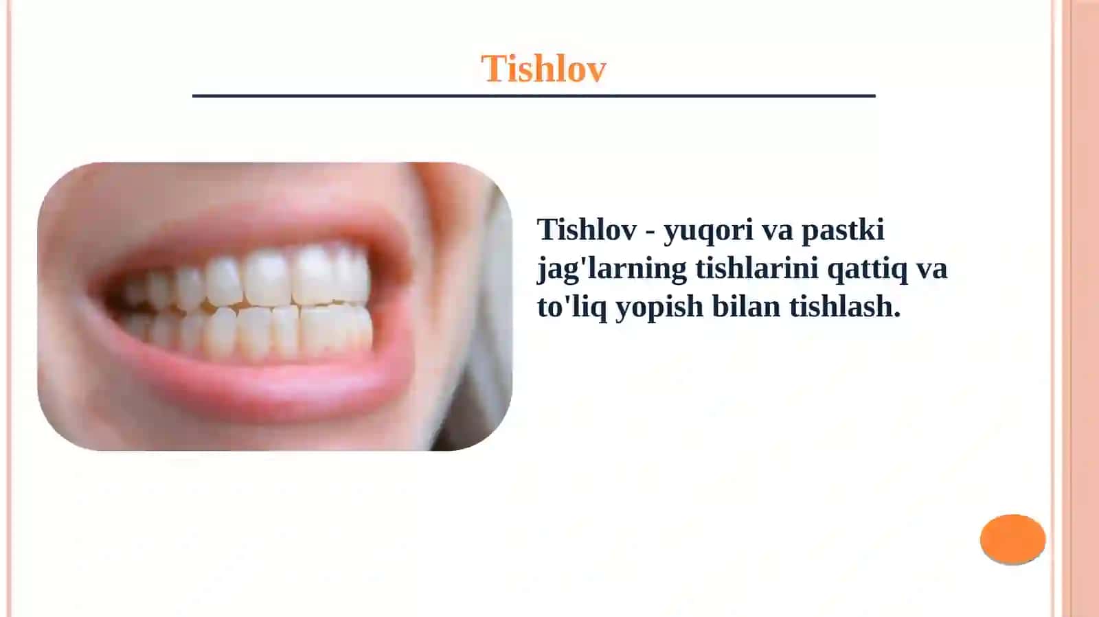Tishlov 2