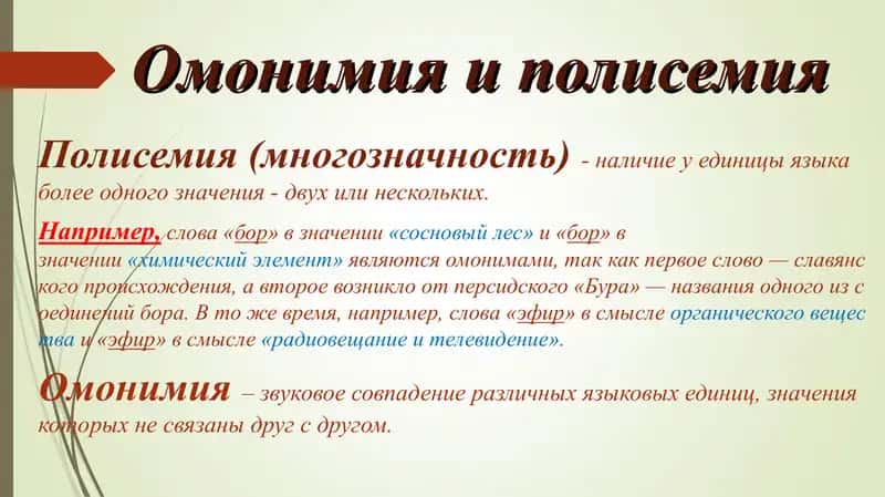 Антонимы. Синонимы. Омонимы. Паронимы. 2
