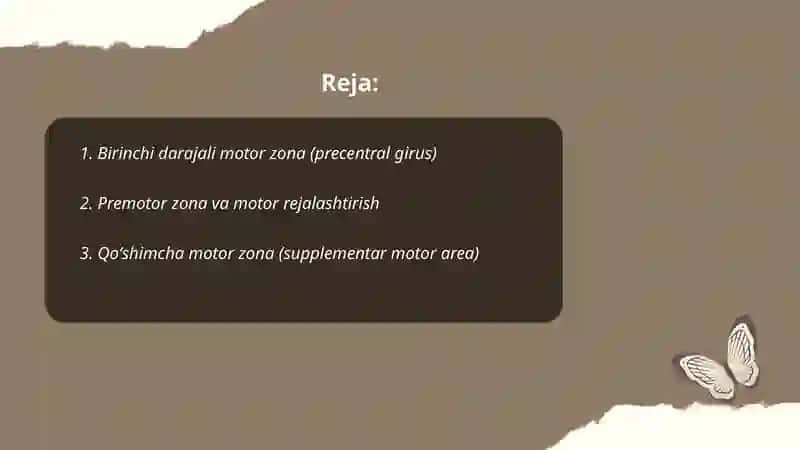 Bosh miya yarim sharlarining funksional zonalari motor, sensor assotsiativ 2