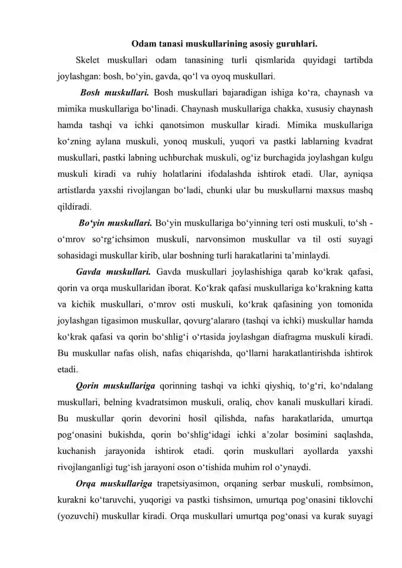 gavda muskullari 2