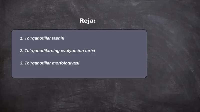 To'rqanotlilar turkumi 2