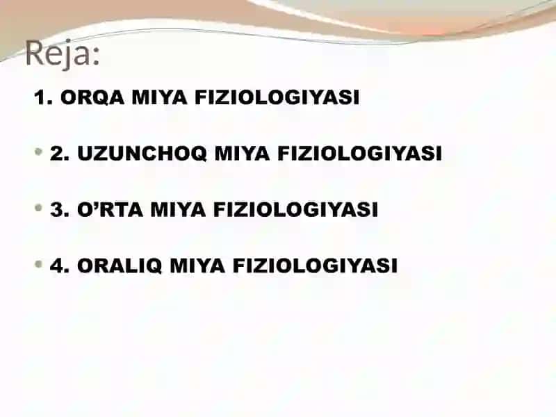 Orqa miya, uzunchoq miya, o‘rta miya va oraliq miya fiziologiyasi 2