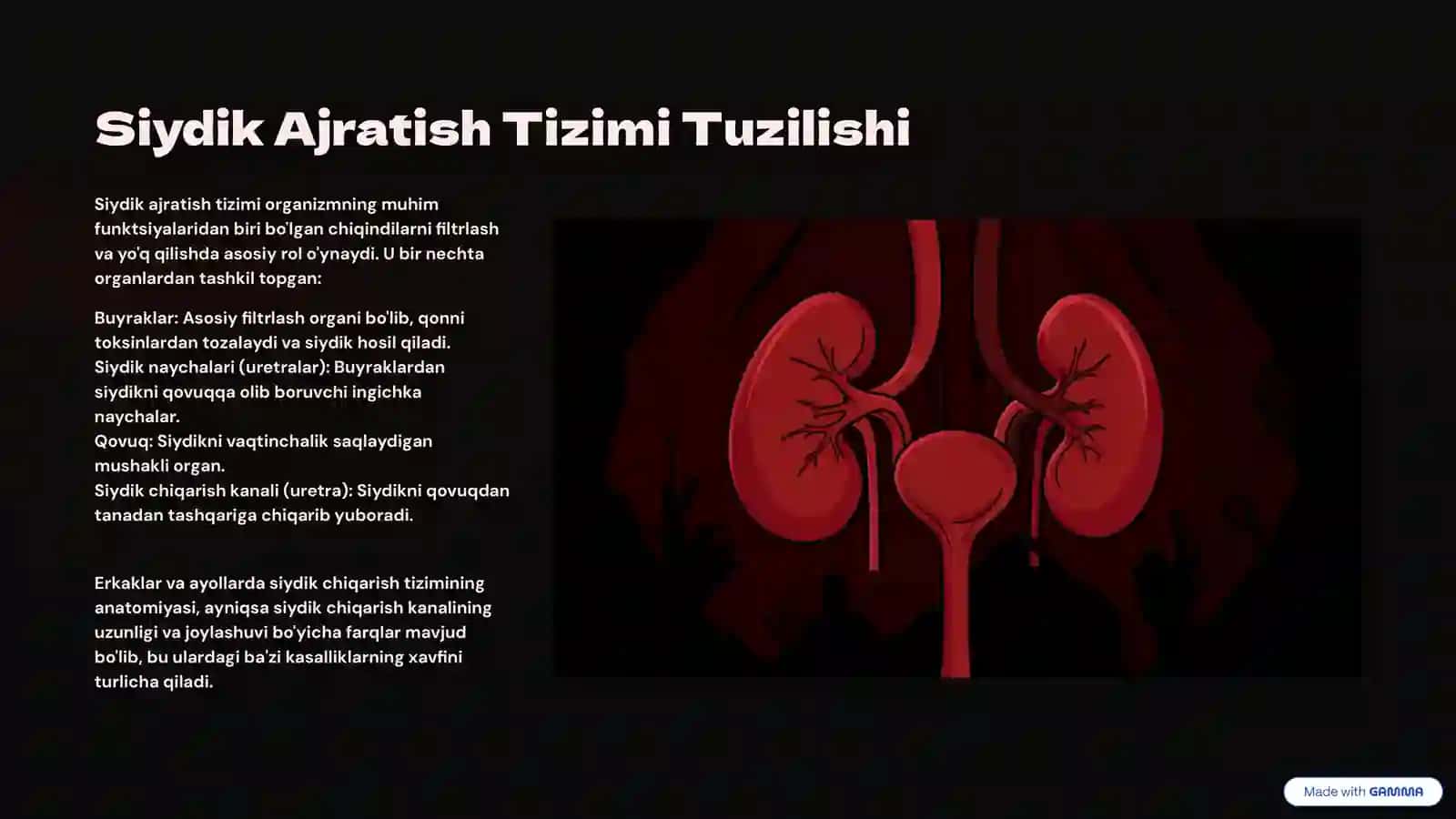 Siydik Ajratish A'zolarining Kasalliklari: Sabablar, Belgilar va Davolash 2