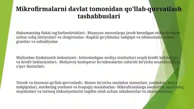 Mikrofirma Faoliyatini Davlat Tomonidan Qo'Llab Quvvatlanishi 2