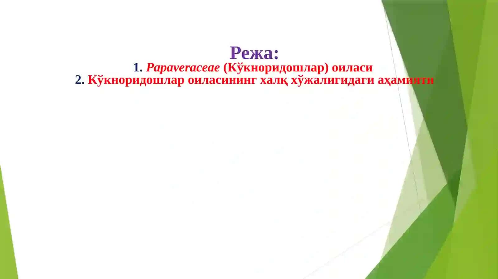 Papaveraceae(Кўкноридошлар) оиласи доривор ўсимликлари 2