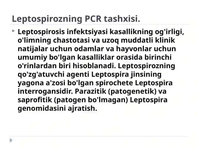 LEPTOSPIROZNING PCR TASHXISI 2