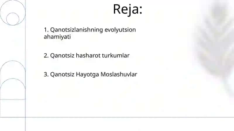Muylovsizlar - Rrotura qanotsiz hasharotlar 2