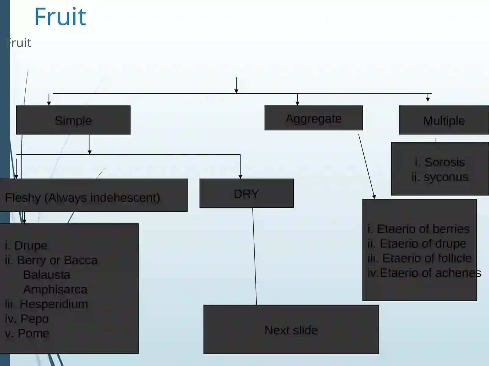 Lecture on fruit 2
