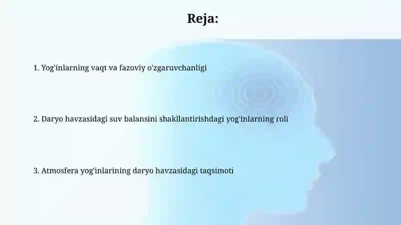 Atmosfera yogʻinlarining daryo havzasi boʻyicha taqsimlanishi 2