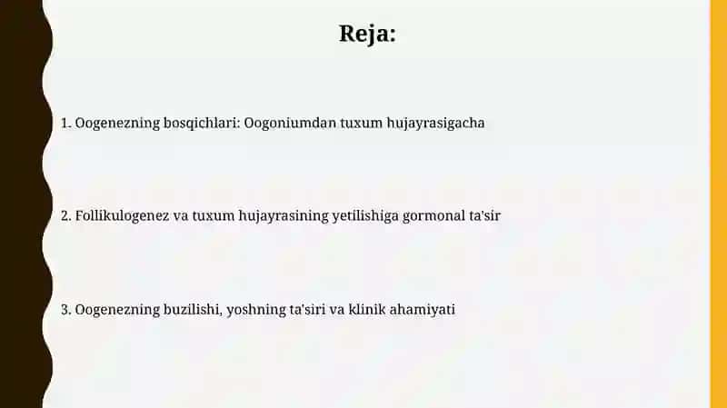 Ovogenez etaplari 2