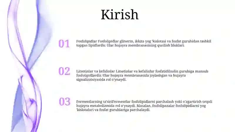Fosfolipidlar.Litsetinlar Va Kefalinlar.Fermentlar Ta'Sirida O'Zgarishi 2