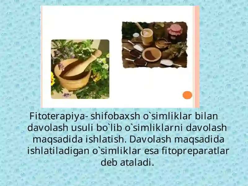 Fitopreparatlar va ularning qo`llanilishi 2