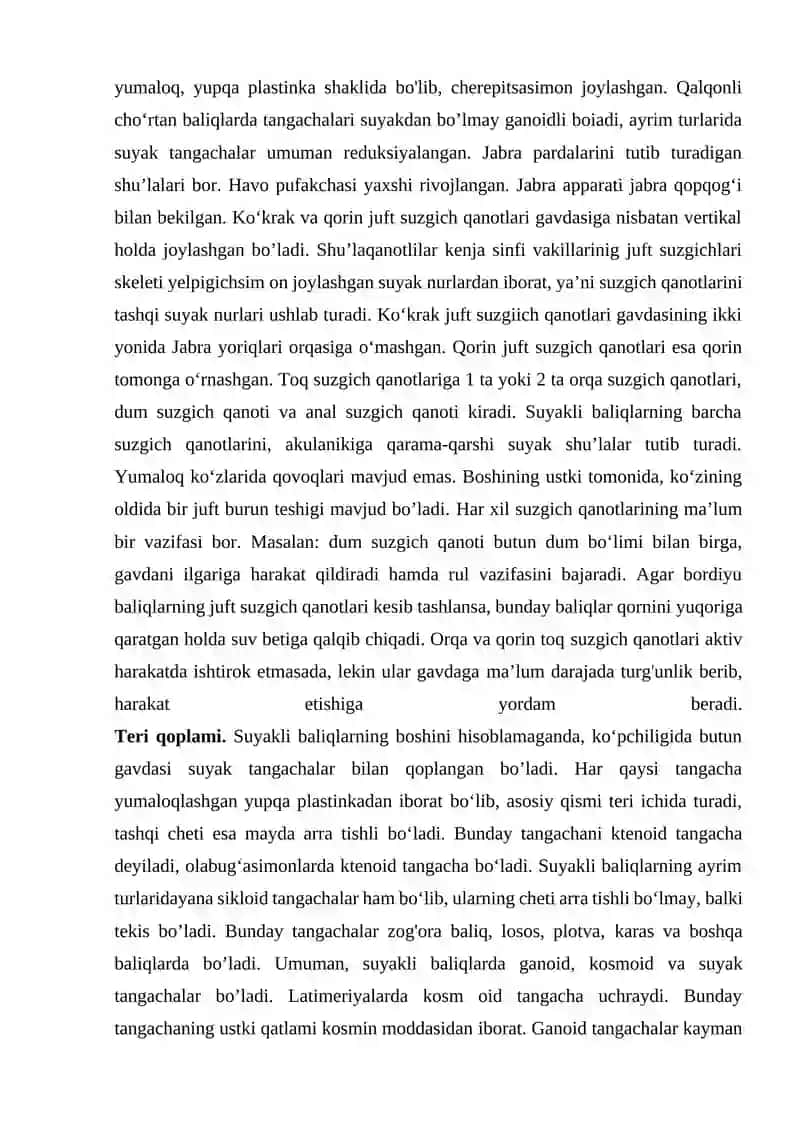 Suyakli baliqlarning umumiy tavsifi 2
