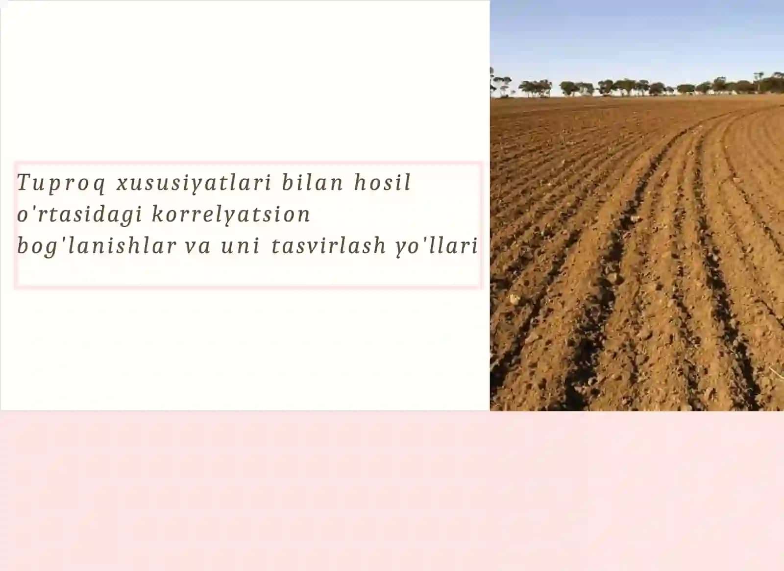 Tuproqshunoslik 3-kurs Umurova Intizorning Yer kadastri va tuproq bonitirovkasi 2
