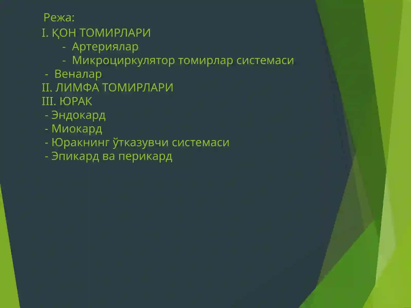 ЮРАК ҚОН-ТОМИРЛАР СИСТЕМАСИ 2