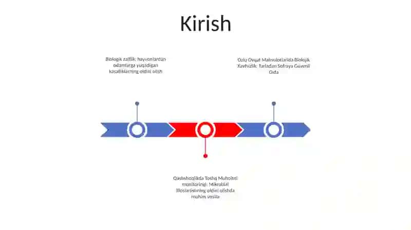 Biologik Xavfsizlik Oziq Ovqat Mahsulotlari 2