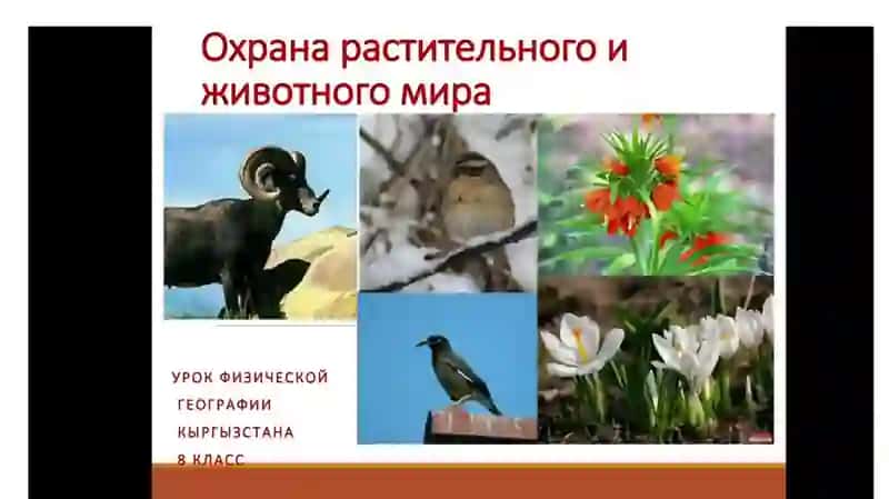 Охрана растительного и животного мира 2