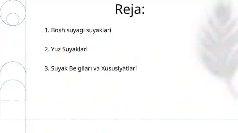 Anatomiya fanidan kalla suyaklarining umumiy tasnifi 2
